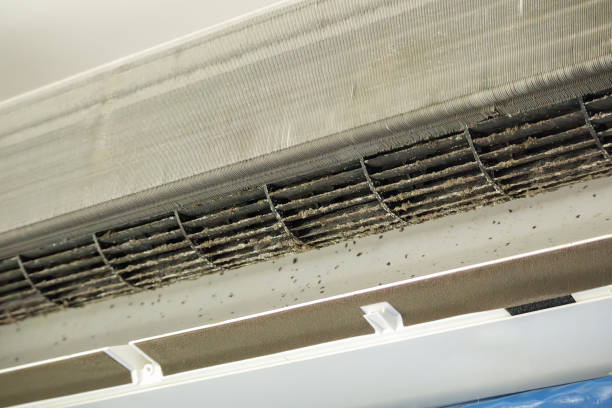 Best Ductwork Odor Removal in Ardmore, PA